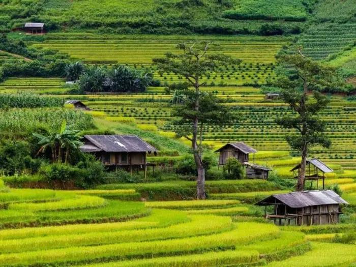 Bergstation Tam Dao im Nebel